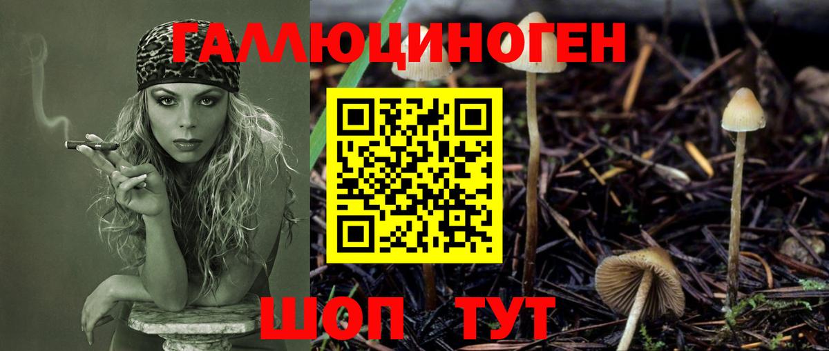 Галлюциногенные грибы MAGIC MUSHROOMS  Вход с VPN  Дербент 
