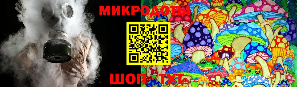 Псилоцибиновые грибы Psilocybe Дербент